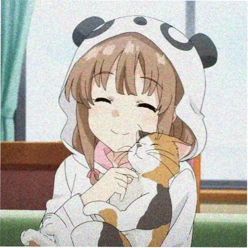 粉丝头像